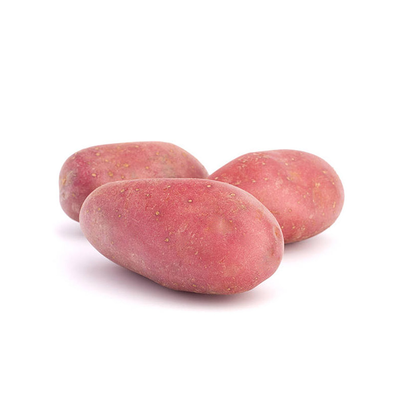 Dự đoán xổ số miền trung khi ngủ mơ thấy khoai tây màu đỏ